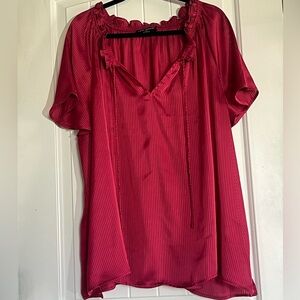 Lane Bryant Vibrant Pink Size 22/24 Sheer Blouse